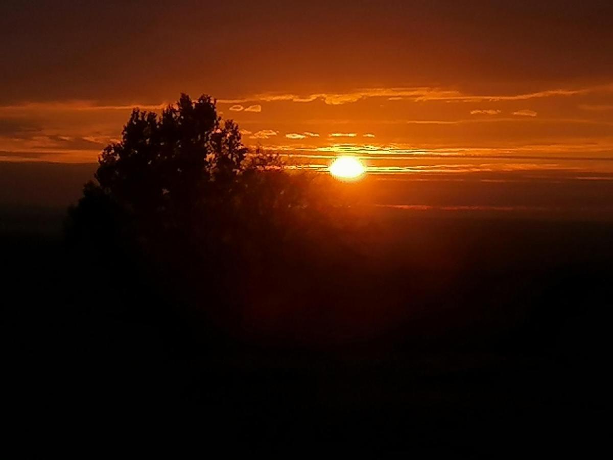 Gite De La Tuiliere Clermont-d'Excideuil Exteriör bild